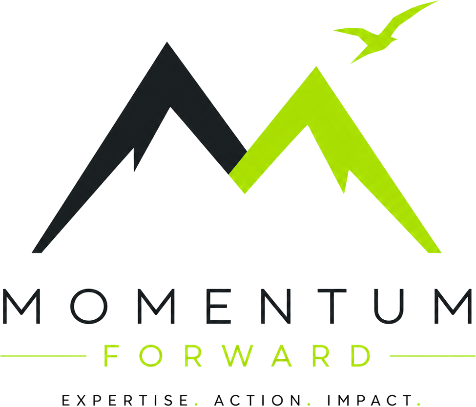 Momentum Forward — Expertise. Action. Impact.